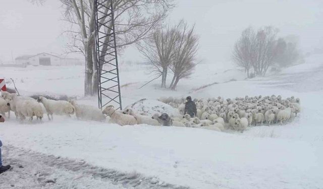 Sivas’ta sürüsü ile mahsur kalan çobanı Özel İdare ekipleri kurtardı