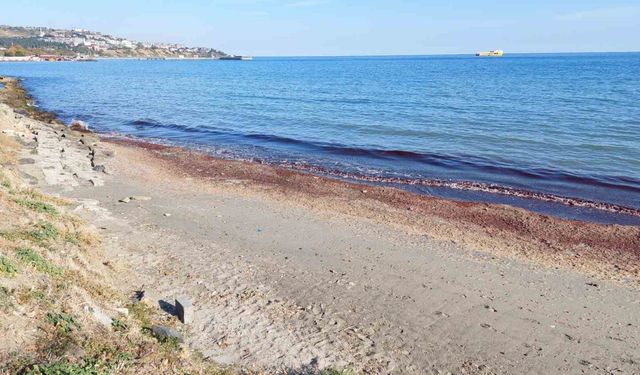 Tekirdağ’da kıyı kızıla boyandı