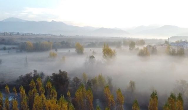 Tunceli’de ’sis’ şöleni