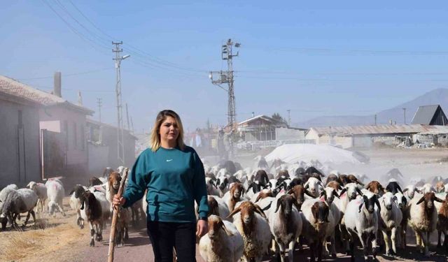 Üniversiteli anne hem koyunlarına hem de kendi kuzusuna bakıyor