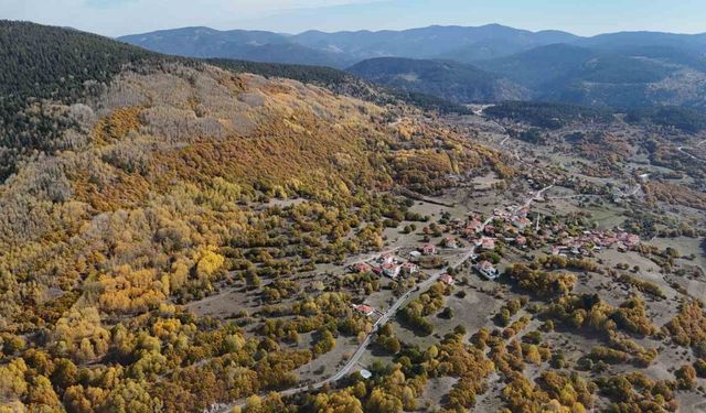 Vatandaşlar kış öncesi güzel havanın tadını eşsiz doğa manzarasıyla çıkardı