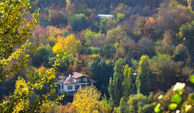 Yeşilyurt’un sonbahar renk cümbüşü, fotoğrafçılara ilham veriyor