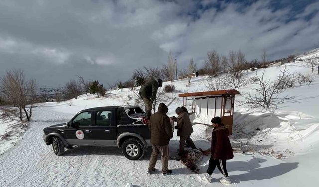 Yoğun kar yağının etkili olduğu Erzincan’da tarımda zarar tespit çalışmaları sürdürülüyor