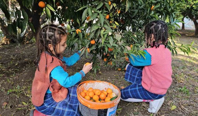 Aydın’dan Elazığ ve Şemdinli’deki engellilere vefa köprüsü