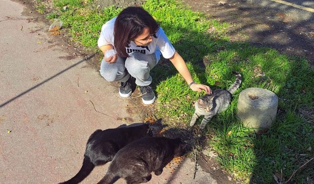 SUBÜ’lü öğrenciler sokak hayvanları için mama dağıttı