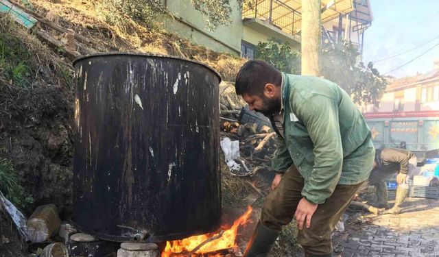 Ustalardan zeytinyağına kozmetik dokunuş