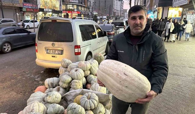 Yüksekova’da kışın vazgeçilmezi: Bal kabak