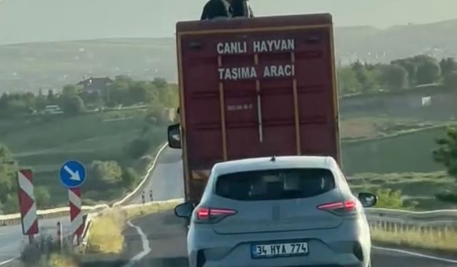 Kamyonun üzerinde tehlikeli yolculuk kamerada