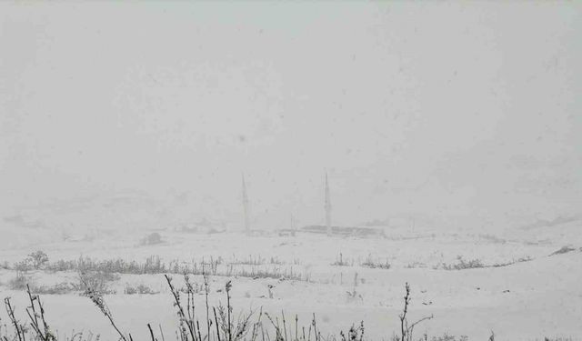 Gümüşhane’nin yüksek kesimleri kara teslim oldu