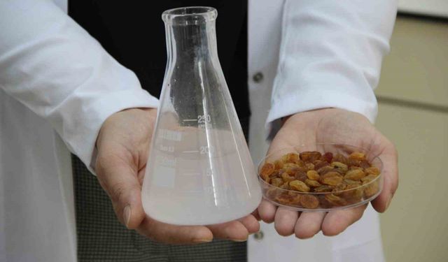 500 milyon dolarlık ihracata bilimsel kalkan