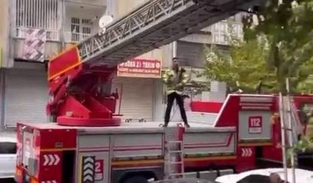 Ağaçta mahsur kalan kediyi kurtarmak için seferber oldular