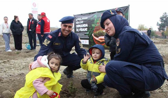 Amasya’da 4 binden fazla fidan toprakla buluştu