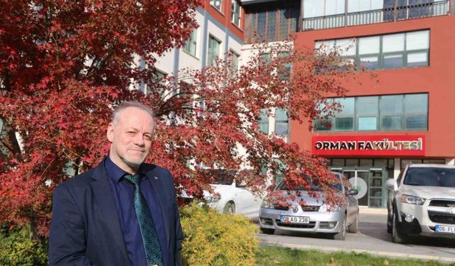 Artvin’de başlayan zararlı, Marmara’ya ulaştı