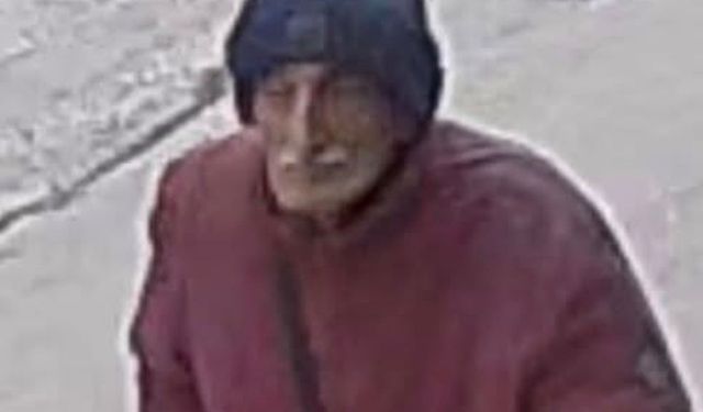 Bergama'da iki gündür kayıp Alzheimer hastası yaşlı adam makilik alanda ölü bulundu