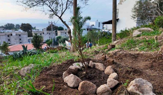 Bodrum Belediyesi çocukları doğayla buluşturdu