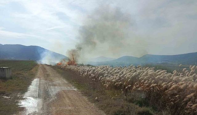Bucak’ta sazlık alanda yangın
