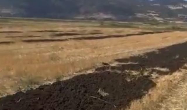 Burdur'da araziye arıtma çamuru döken firmaya 48 milyon 612 bin lira para cezası