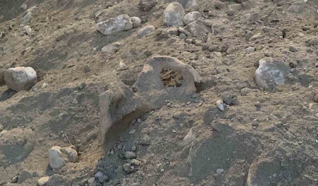 Burdur’da belediyenin kazı çalışması sırasında insan kemikleri bulundu
