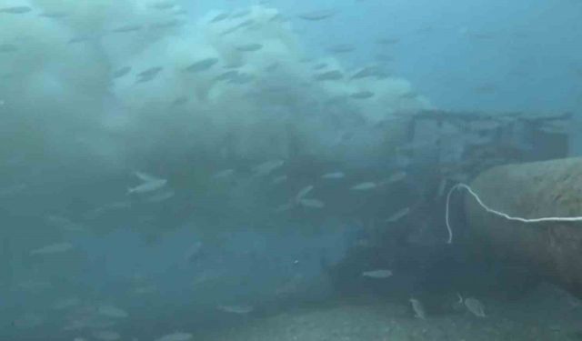 Çanakkale’de boğaza dökülen atık su ile karşılaşan dalgıç, o anları su altı kamerasıyla kaydetti