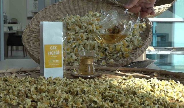 Çayın yeni ürünü ‘Çay çiçeği çayı’ 6 bin TL’den satılıyor