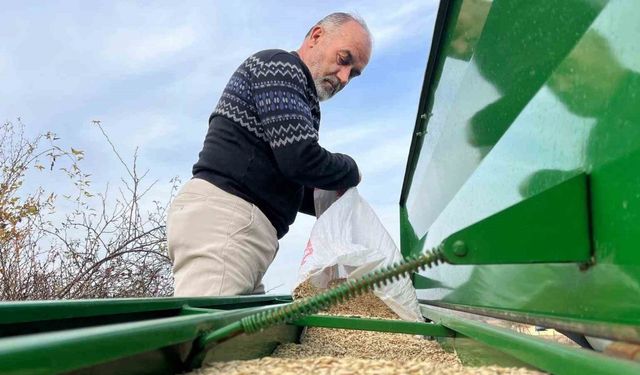 Çiftçilerin ekim mesaisi başladı, 12 bin yıllık siyez toprakla buluştu