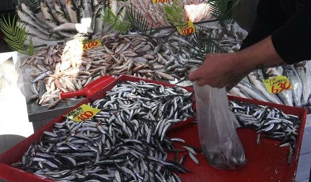 Denizi olmayan Çankırı’da 100 liraya satılan hamsi yüzleri güldürdü