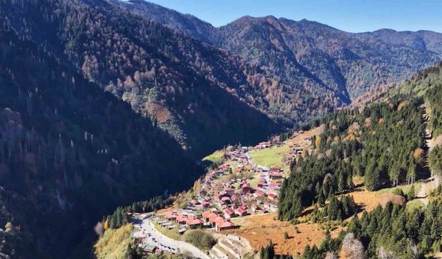 Dünyaca ünlü Ayder Yaylası’nda teleferik projesi hayata geçiyor