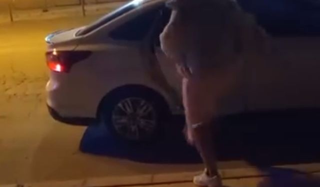 Elazığ'da bir kadın, tartıştığı şahsın arabasına saldırdı