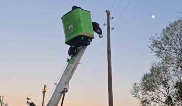 Elektrik direğinde mahsur kalan kediyi ekipler kurtardı