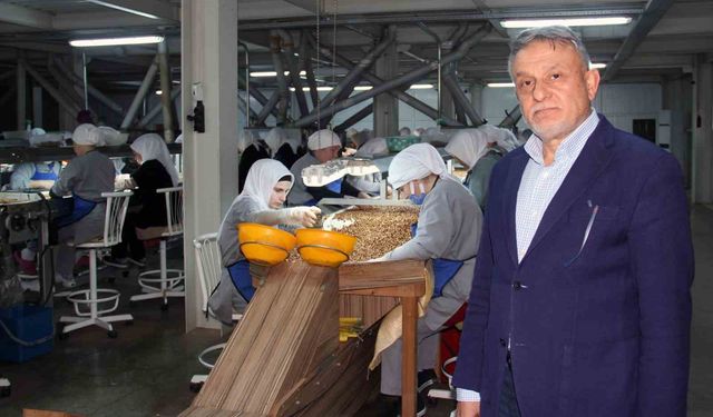 Fındık fiyatları, ihracat, döviz kuru ve hava şartlarına bağlı