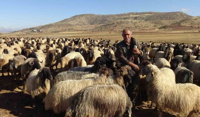 Gercüş’te göçerlerin zorlu yolculuğu