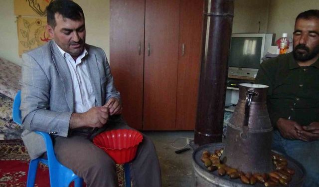 Gercüş’ün ’Doğu kestanesi’: Organik meşe palamudu kış sofralarının vazgeçilmezi oluyor