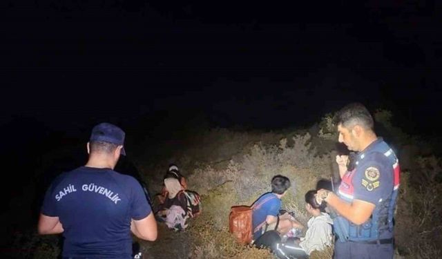 Günlüklü koyunda 3’ü çocuk 4 düzensiz göçmen yakalandı