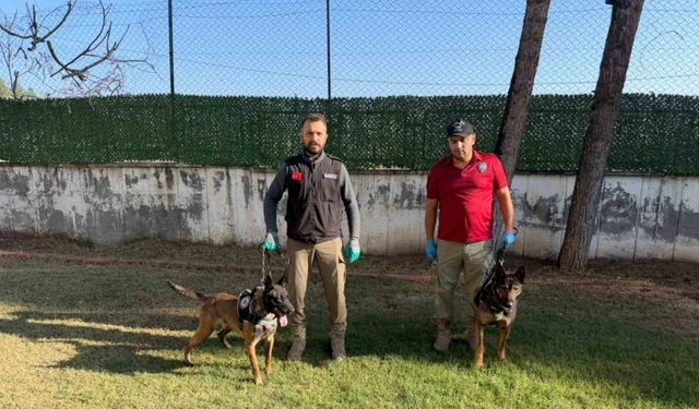 Hector ve Mailo, Batman’da uyuşturucu tacirlerinin korkulu rüyası oldu