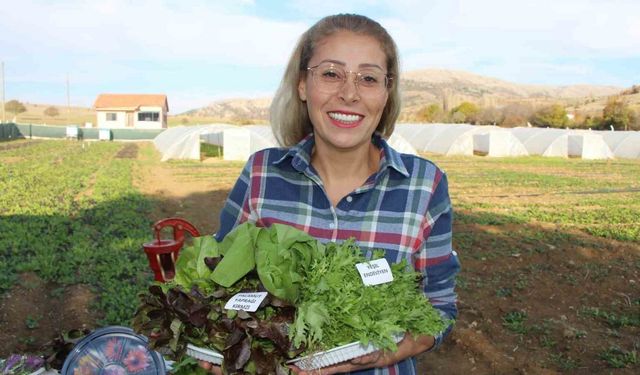 İstanbul’dan köyüne dönen gıda mühendisi kadın yeşil mirası renklendirdi