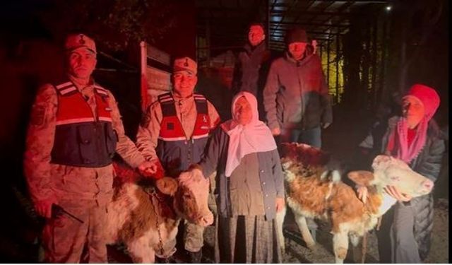Jandarma çalınan hayvanları sahibine teslim etti