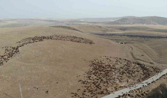 Kars’ta göçerlerin zoru yolculuğu başladı