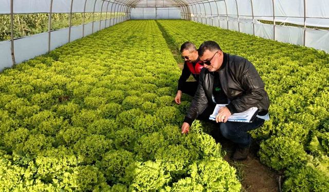 Kırklareli'nde sera denetimleri