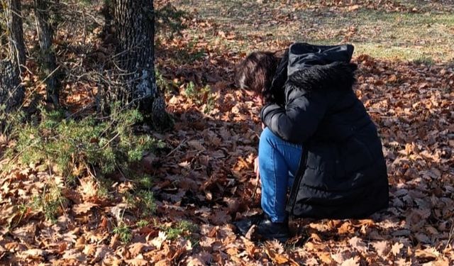 Kırklareli’nde süne ile mücadele hamlesi: Sonbahar Kışlak Sürveyleri çalışmalarına başladı