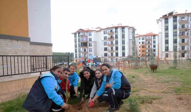 Menteşe Akçaova TOKİ Site yönetiminden ‘Yeşil Vatan’a fidanlı destek
