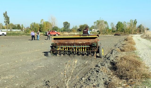 Mera alanları işgalden kurtarılıyor