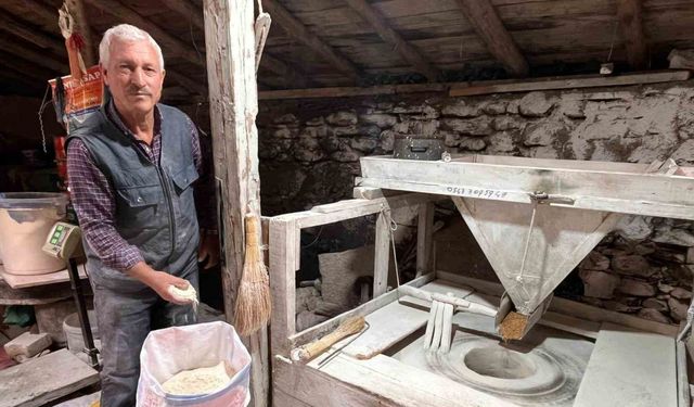 Muğla’da 300 yıllık su değirmeni hala çarklarını döndürüyor