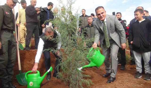 Muğla’da 33 bin fidan toprak ile buluştu