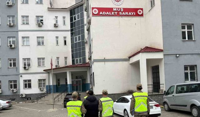 Muş’ta aranan hükümlü jandarmanın devriyesine takıldı
