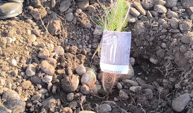 Öğretmenler, şehit ve depremde kaybedilen meslektaşları için fidan dikti