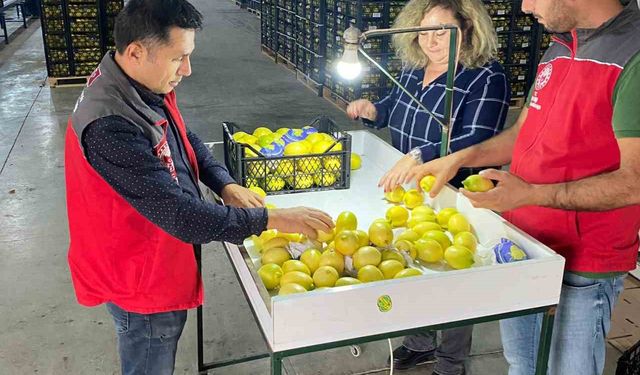 Ortaca’da ihracata giden ürünlere onay