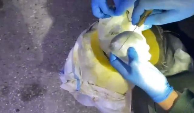 Osmaniye’de bal kabağından uyuşturucu çıktı