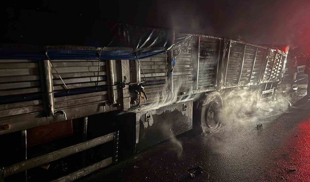 Osmaniye'de mısır yüklü tır alev alev yandı