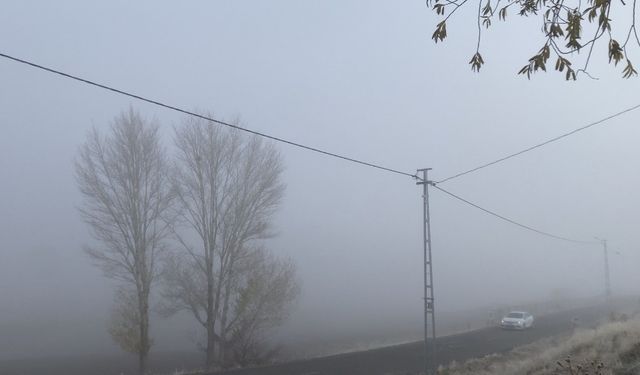 Patnos’ta yoğun sis yaşamı olumsuz etkiledi
