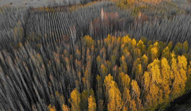 Savur, doğal güzelliğiyle ziyaretçileri mest ediyor